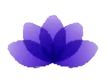 A purple flower with green background